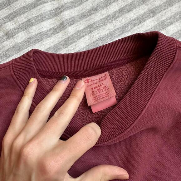 Danielle Guizio Champion Reverse Weave Crewneck Sweatshirt - Picture 7 of 7